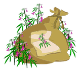 Sac de Fleurs de Chanvre