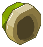 Carapace Verte Vide