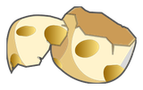 Coquille de Dragoss Doré 