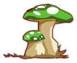 Mushroom'Drugz