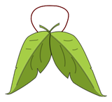 La Feuille d'Hiver