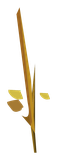 Lin
