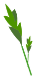 Seigle