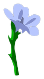 Fleur de Lin