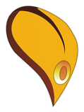 Pétale Morito
