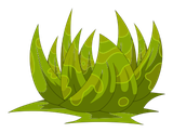 Calice de Fécorce