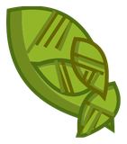 Feuille de Bulbuisson