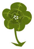Trèfle à 5 feuilles