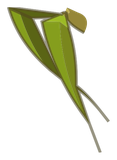 Feuille de Bambouto