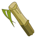 Bois de Bambou