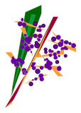 Fruit de Palme