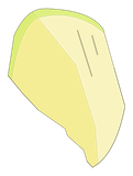 Ongle de Kanigrou