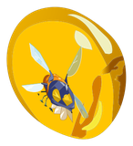 Ambre