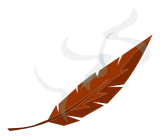 Plume de Buveur