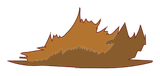 Poils du Sanglier