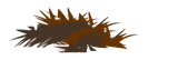 Etoffe du Sanglier