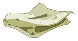 Linceul