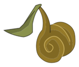 Graine de l'Abrakleur sombre