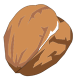 Noix de Pécan