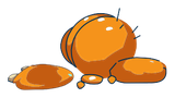 Peau Larve Orange