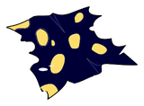 Peau de Mandrine