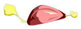 Viande d'Oiseau ****