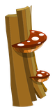 Ecorce de Champaknyde