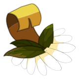 Ecorce de Chiendent