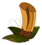 Ecorce de Brouture