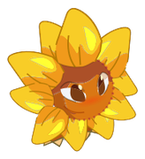 Tournesol Sauvage