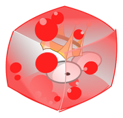 Gelée Royale Fraise
